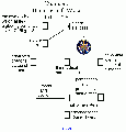 Thumbnail for version as of 20:01, 2 November 2005