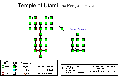 Avatars templel of utami.gif