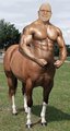 Thunderhoofs.JPG